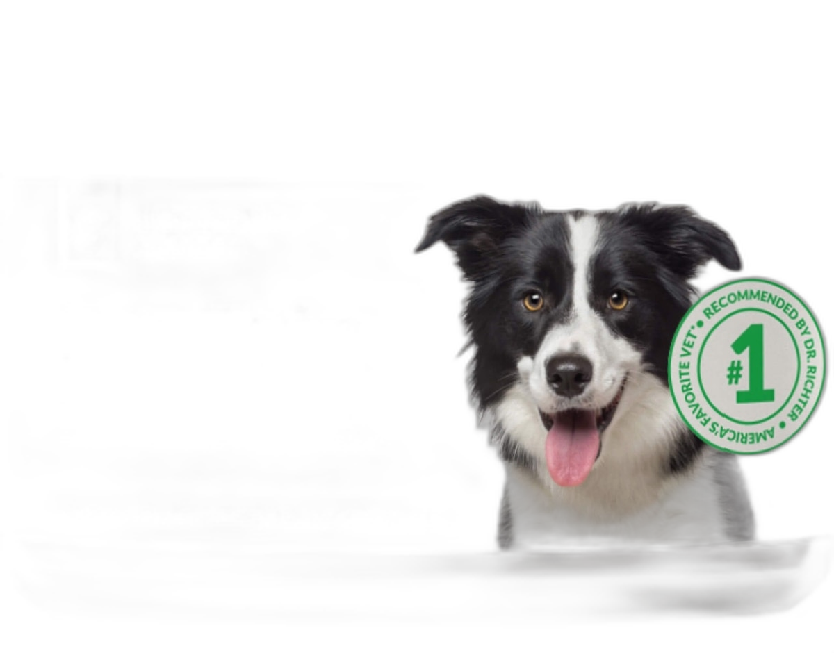 40 in 1 Dog Vitamins and Supplements Chewable multivitamins supplement
