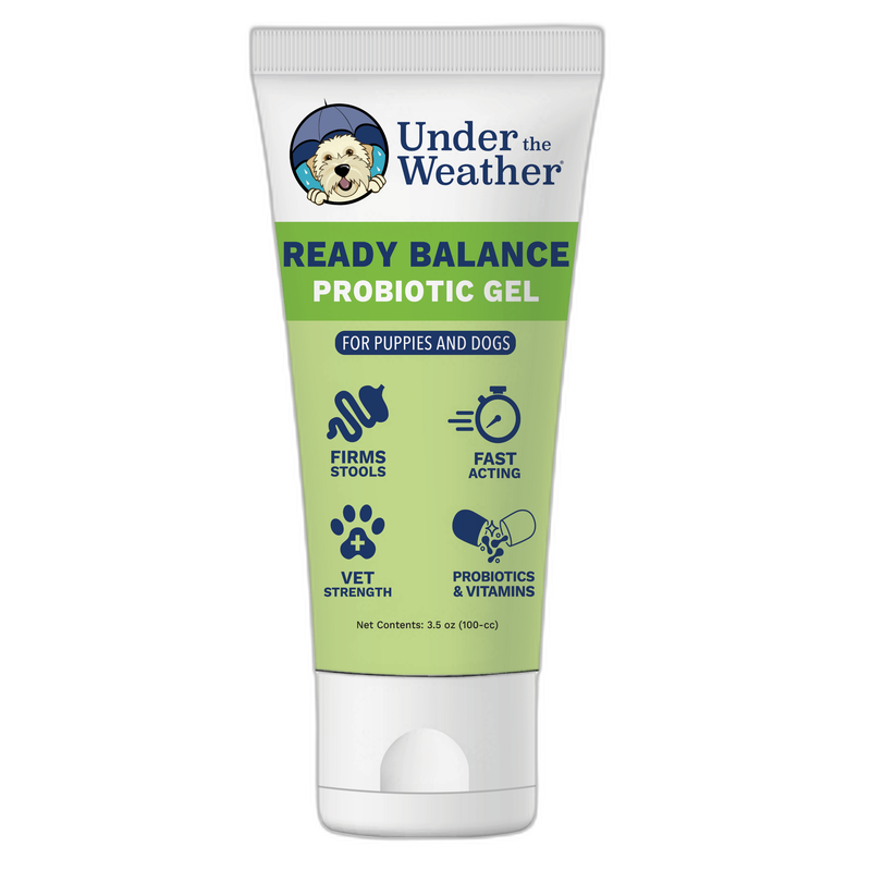 Ark Naturals Sea Mobility Joint Rescue Chews
