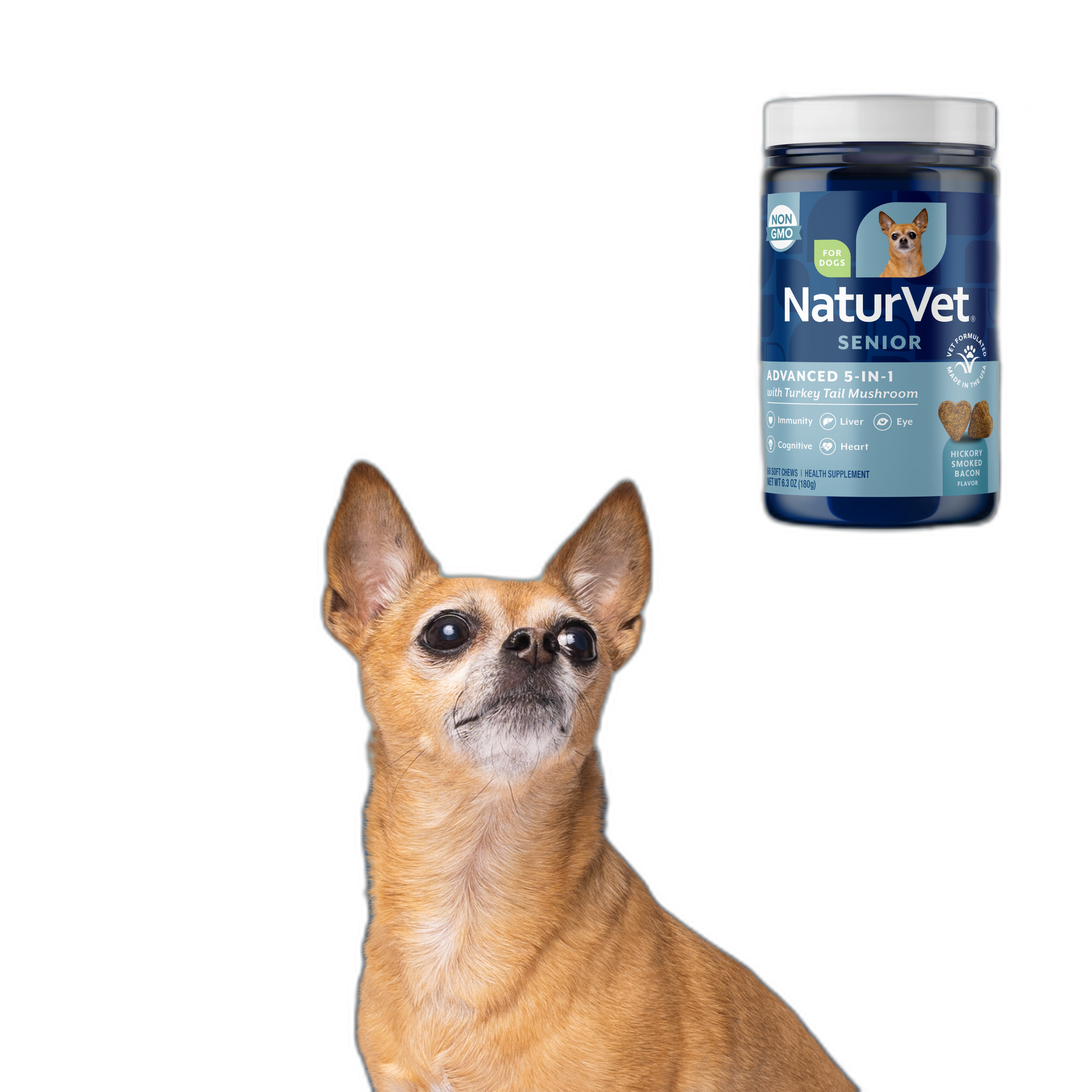Neutricks Cognitive Support for Senior Dogs by Neutricks