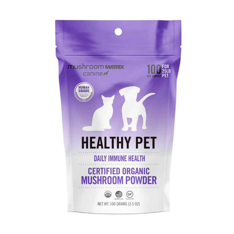 Nulo Functional Hip & Joint Soft Chews for Dogs pet supplement