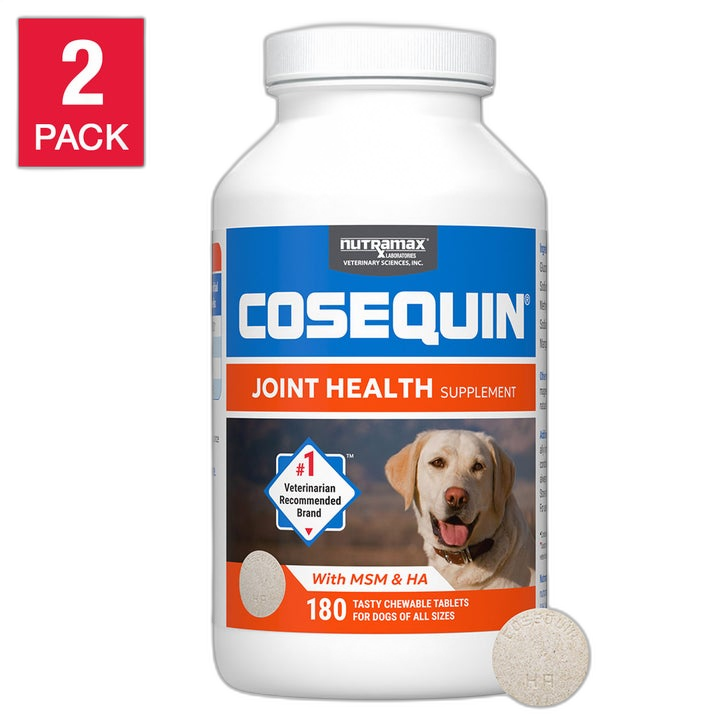 Nutramax Cosequin Joint Health Plus MSM & HA for Dogs pet supplement