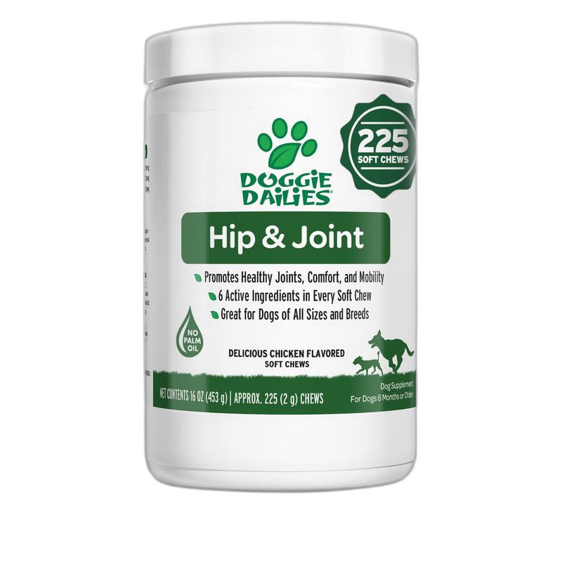 Pet Honesty Multivitamin 10-in-1 for Senior Dogs
