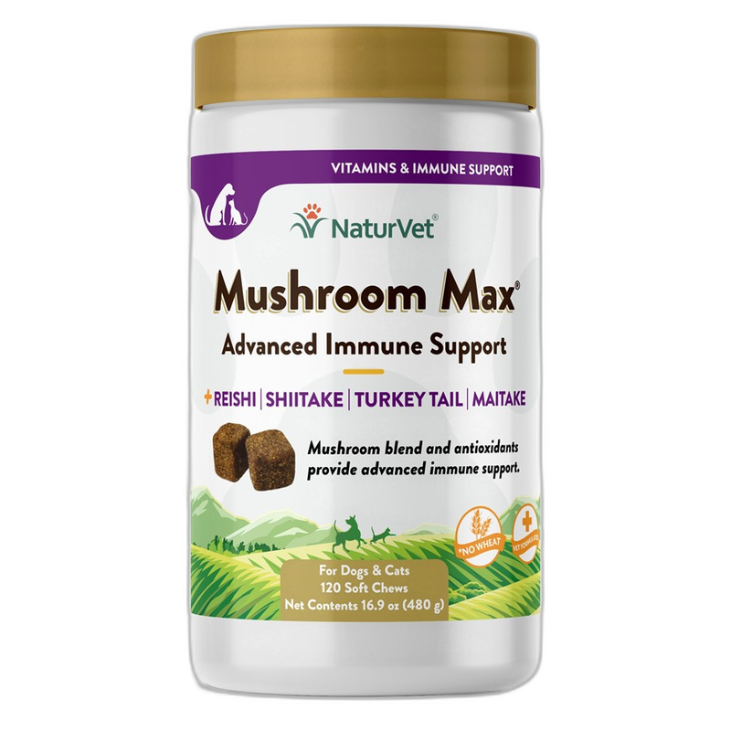 Pet Naturals L-Lysine Chews for Cats by Pet Naturals