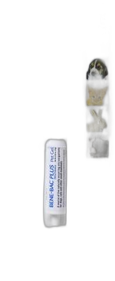 PetAg Bene-Bac Plus Pet Gel pet supplement