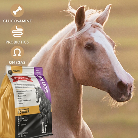 Absorbine Proios Probiotic & Prebiotic Horse Supplement