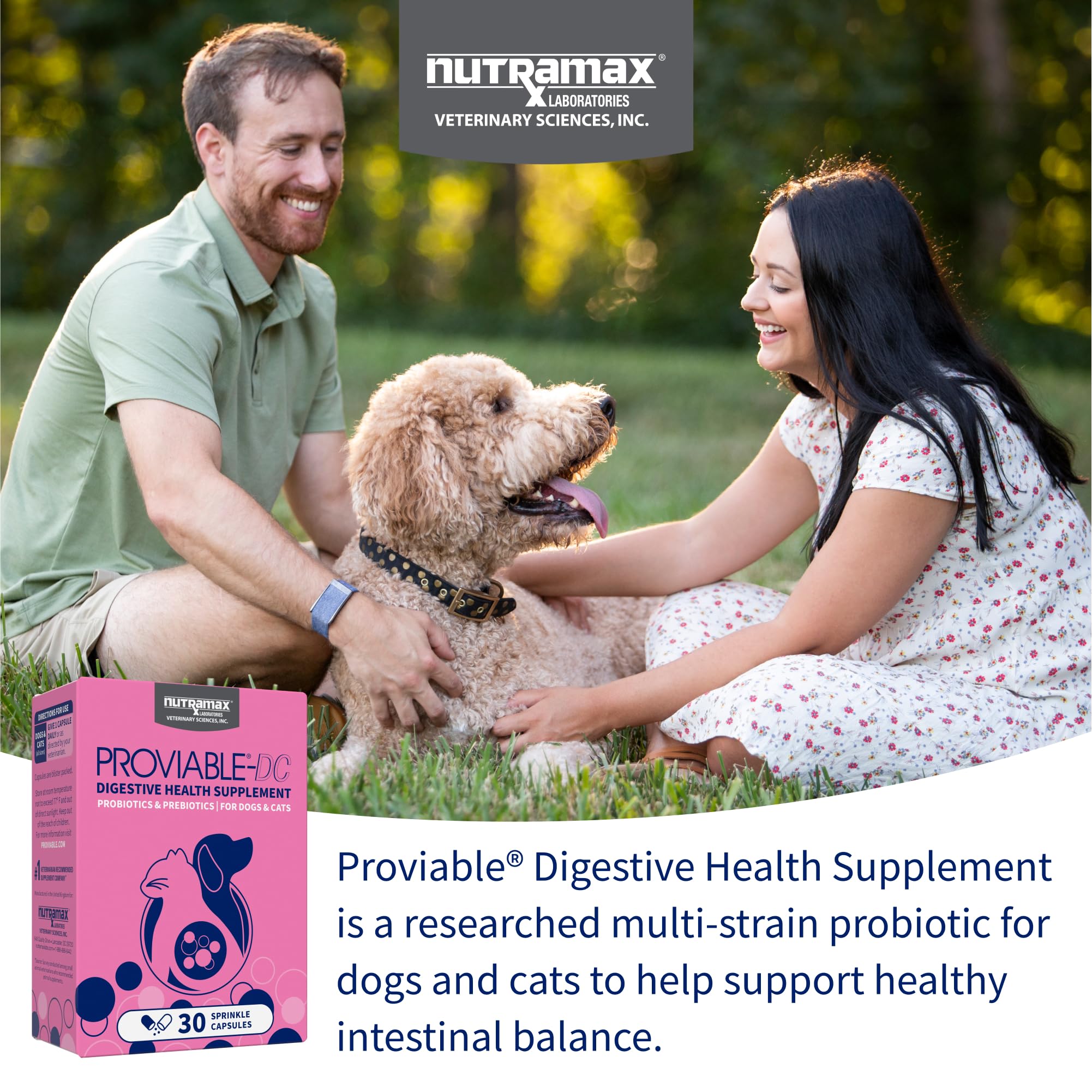 Digestive Support for Cats