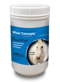 Kentucky Performance Products FootWise