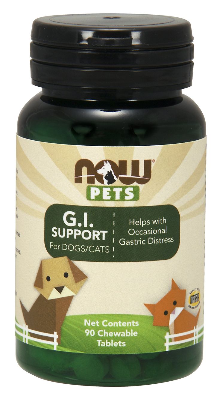 NOW Pets G.I. Support Powder for Dogs & Cats - Digestive & Immune Health - 6 oz