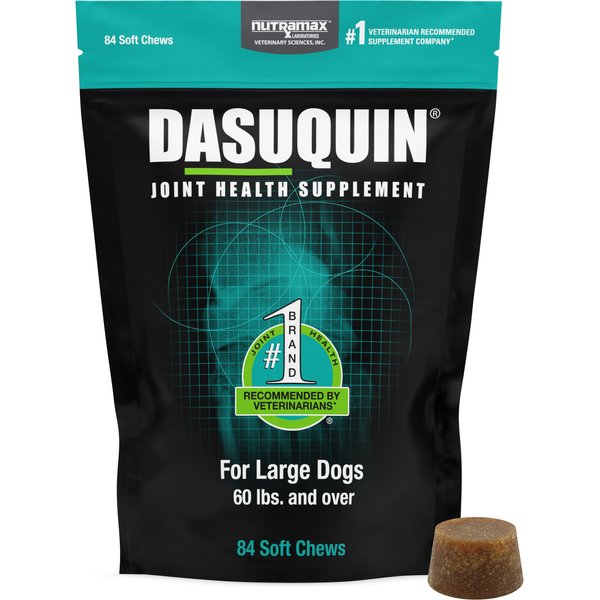 Nutramax Dasuquin with MSM Hip & Joint Soft Chews Joint Supplement for Large Dogs pet supplement