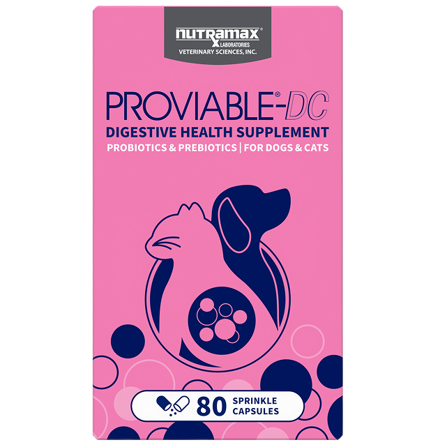 Nutramax Proviable-DC Probiotic pet supplement
