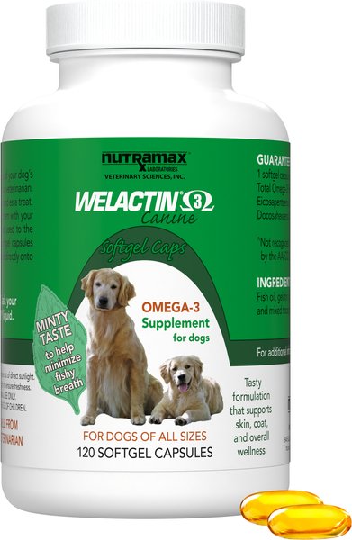 Nutramax Welactin Omega-3 Fish Oil Skin and Coat Health Supplement for Dogs by Nutramax