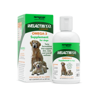 Nutramax Welactin Omega-3 Supplement Liquid for Dogs by Nutramax