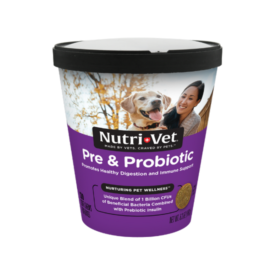 Nutri-Vet Pre & Probiotic Soft Chews for Dogs pet supplement