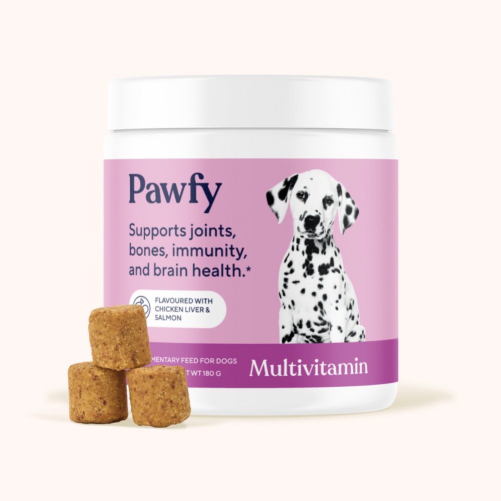 Pawfy 10-in-1 Multivitamin for Dogs - Immune, Joint, Skin, Gut & Heart Health pet supplement