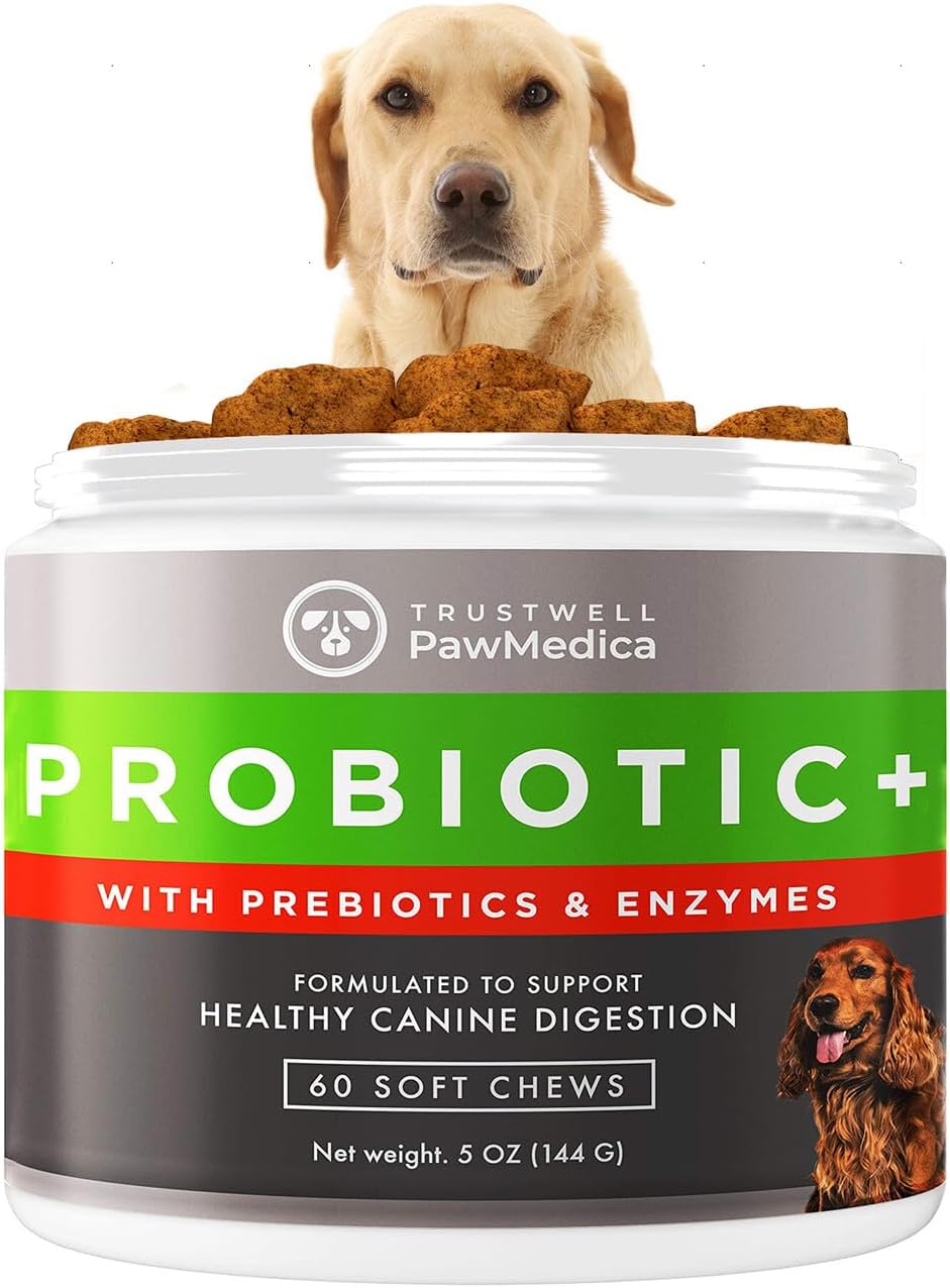 PawMedica Healthy Digestion Probiotic Chews for Dogs