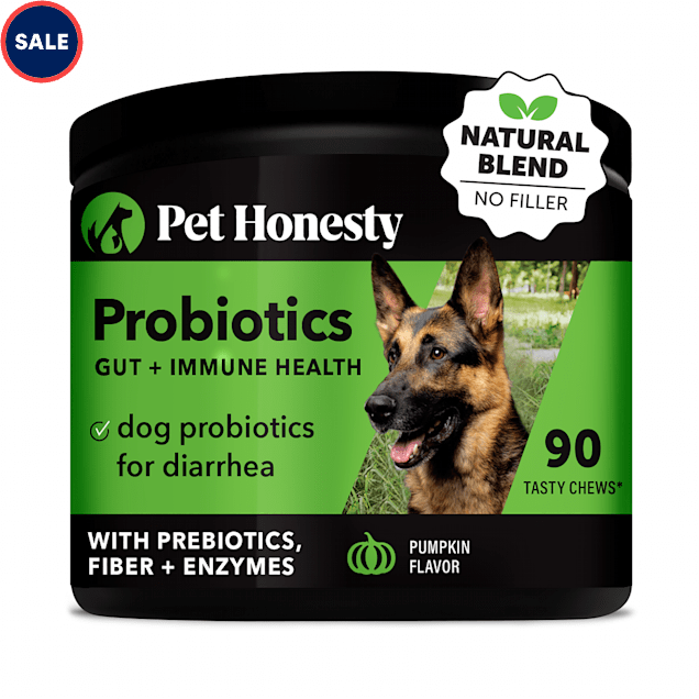 Pet Honesty Digestive Probiotics Max Strength for Dogs