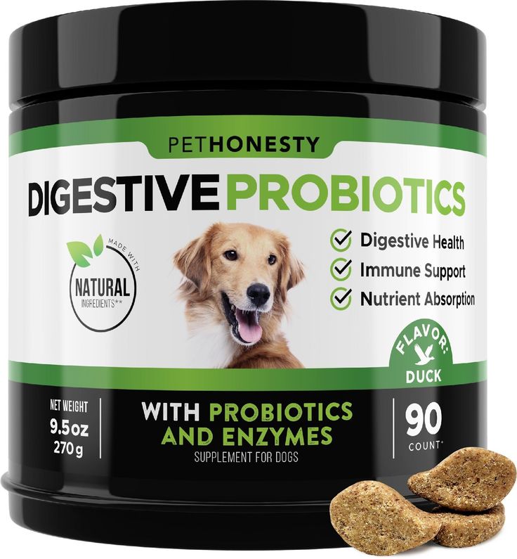 PetHonesty Digestive Probiotics Soft Chews for Dogs pet supplement