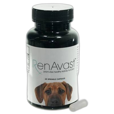 RenAvast Kidney Support for Cats pet supplement