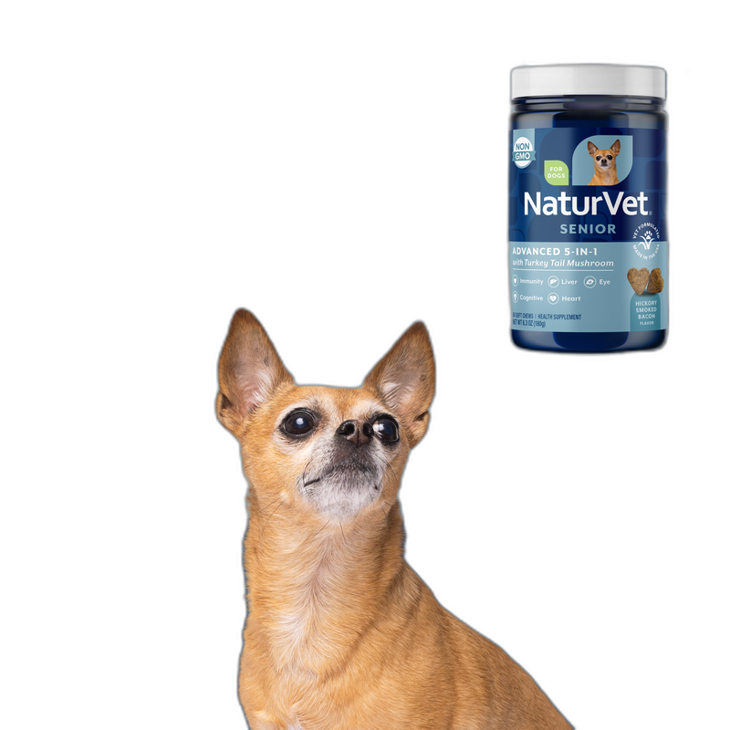 Senior Gold Cognitive Support for Aging Dogs pet supplement