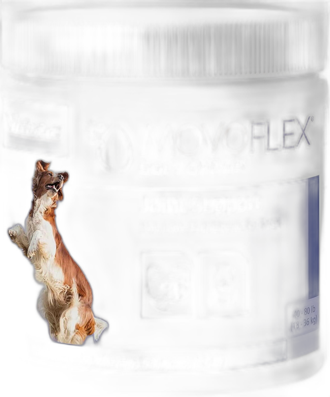 Movoflex Joint Support Soft Chews for Dogs pet supplement