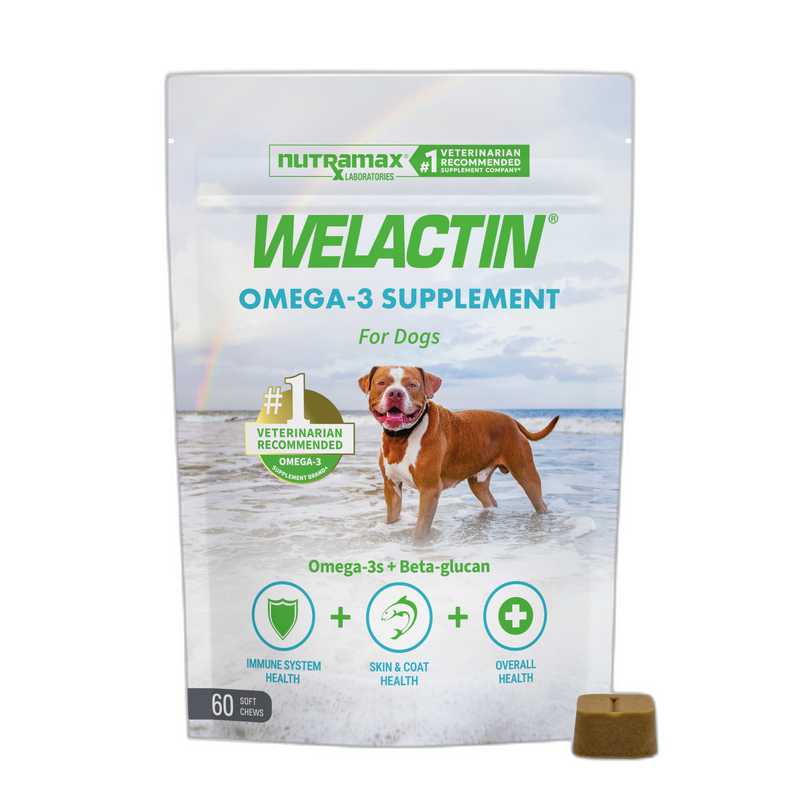 Nutramax Welactin Omega-3 Fish Oil Skin & Coat Supplement