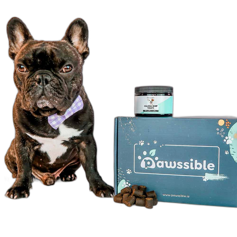 Pawssible calming hemp dog treat made of a premium grade hemp powder with zero THC. Manufactured in the U.S. Water soluble formula, easy to absorb. pet supplement