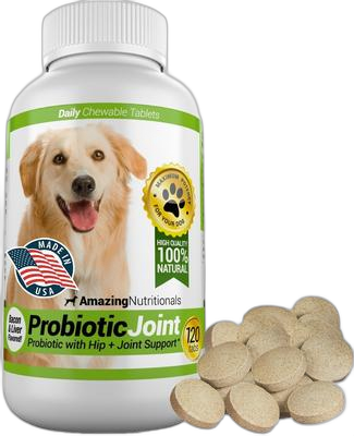 Amazing Nutritionals Probiotic Joint for Dogs pet supplement