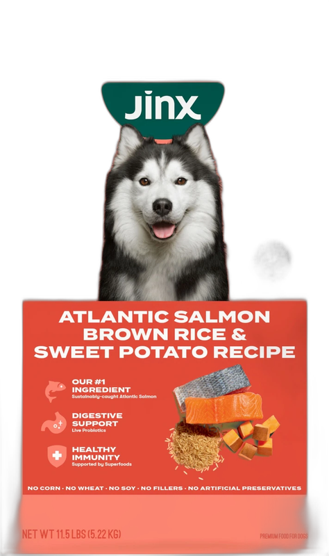 Jinx Premium Dry Dog Food, for All Lifestages - Real Salmon