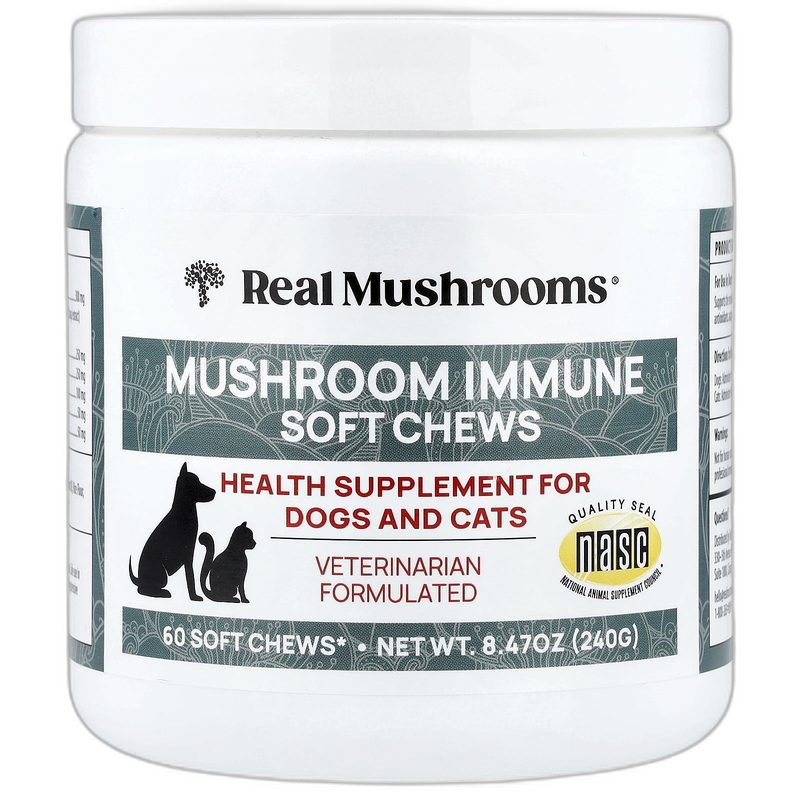 Real Mushrooms Mushroom Immune Soft Chews