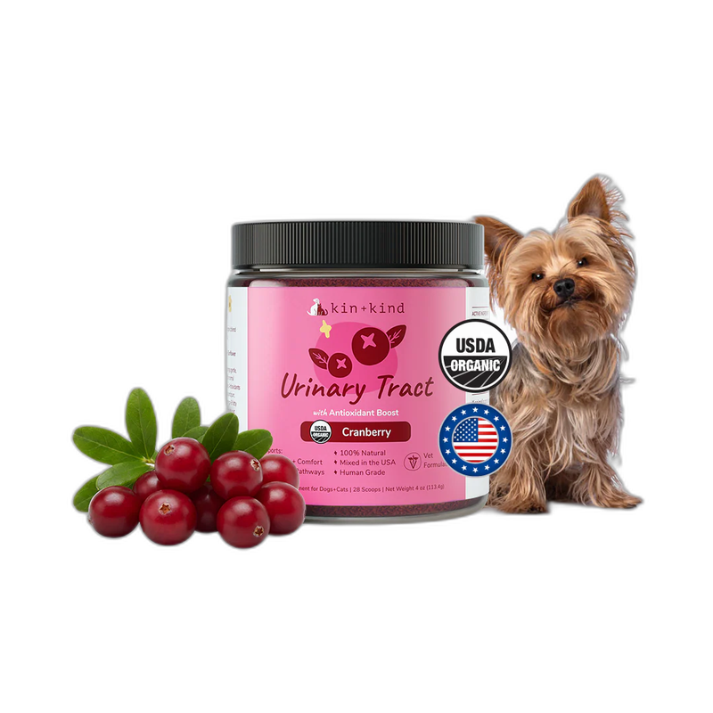 Kin+Kind Healthy Immunity Blueberry Cranberry by Kin+Kind