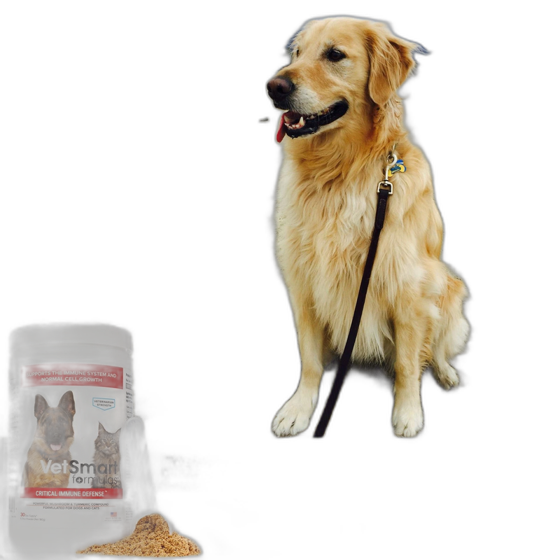VetSmart Formulas Critical Immune Defense pet supplement