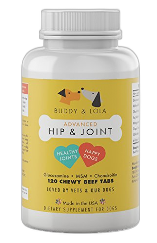 Synovi G4 Dog Joint Supplement pet supplement