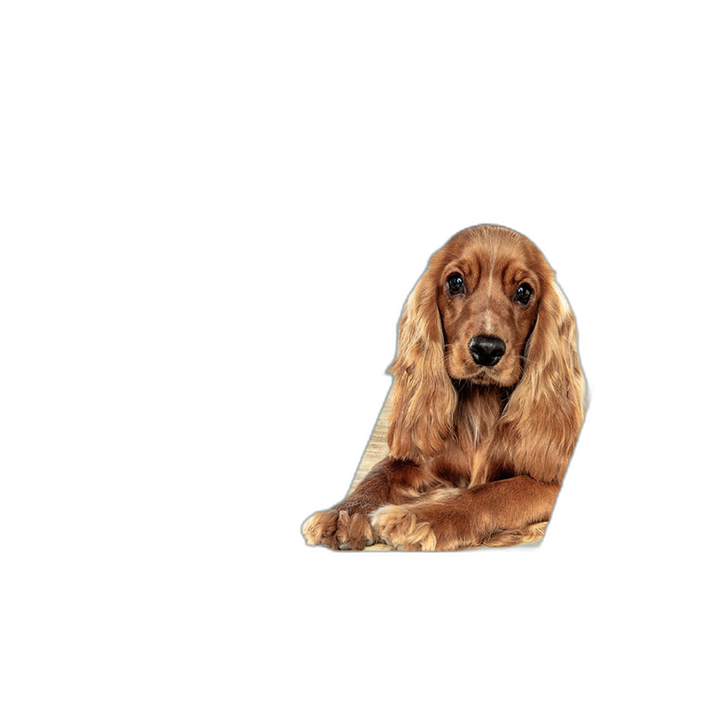 PetHonesty Calming Hemp+ Soft Chews for Dogs
