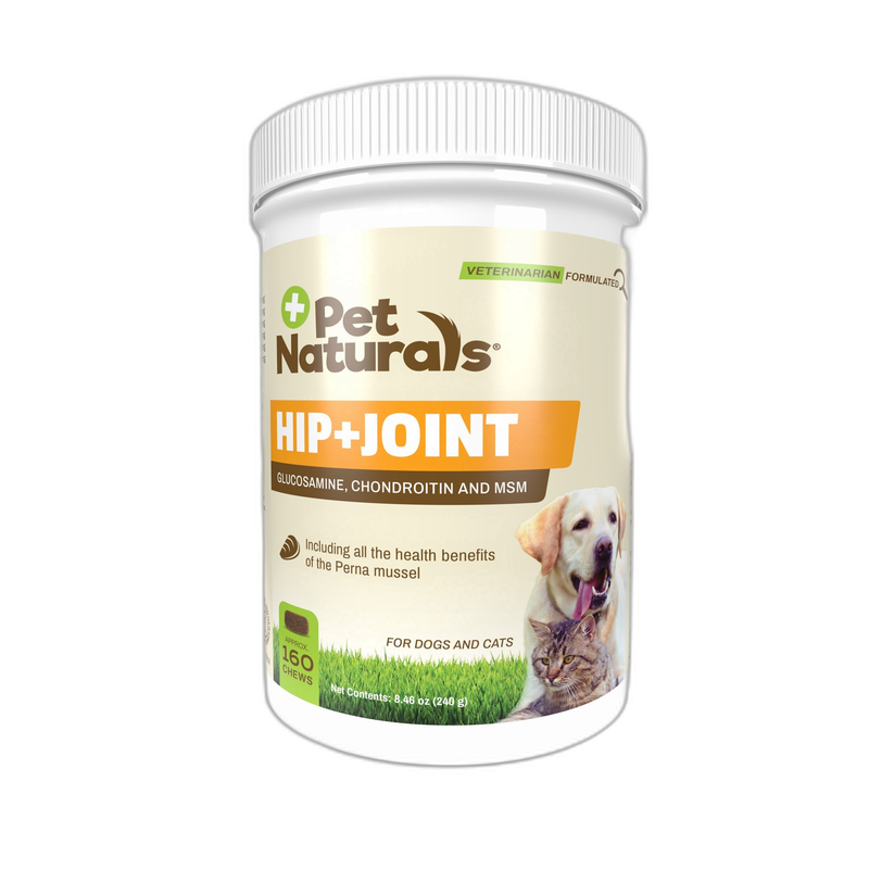 Solid Gold Digestive Probiotic Supplement for Dogs pet supplement