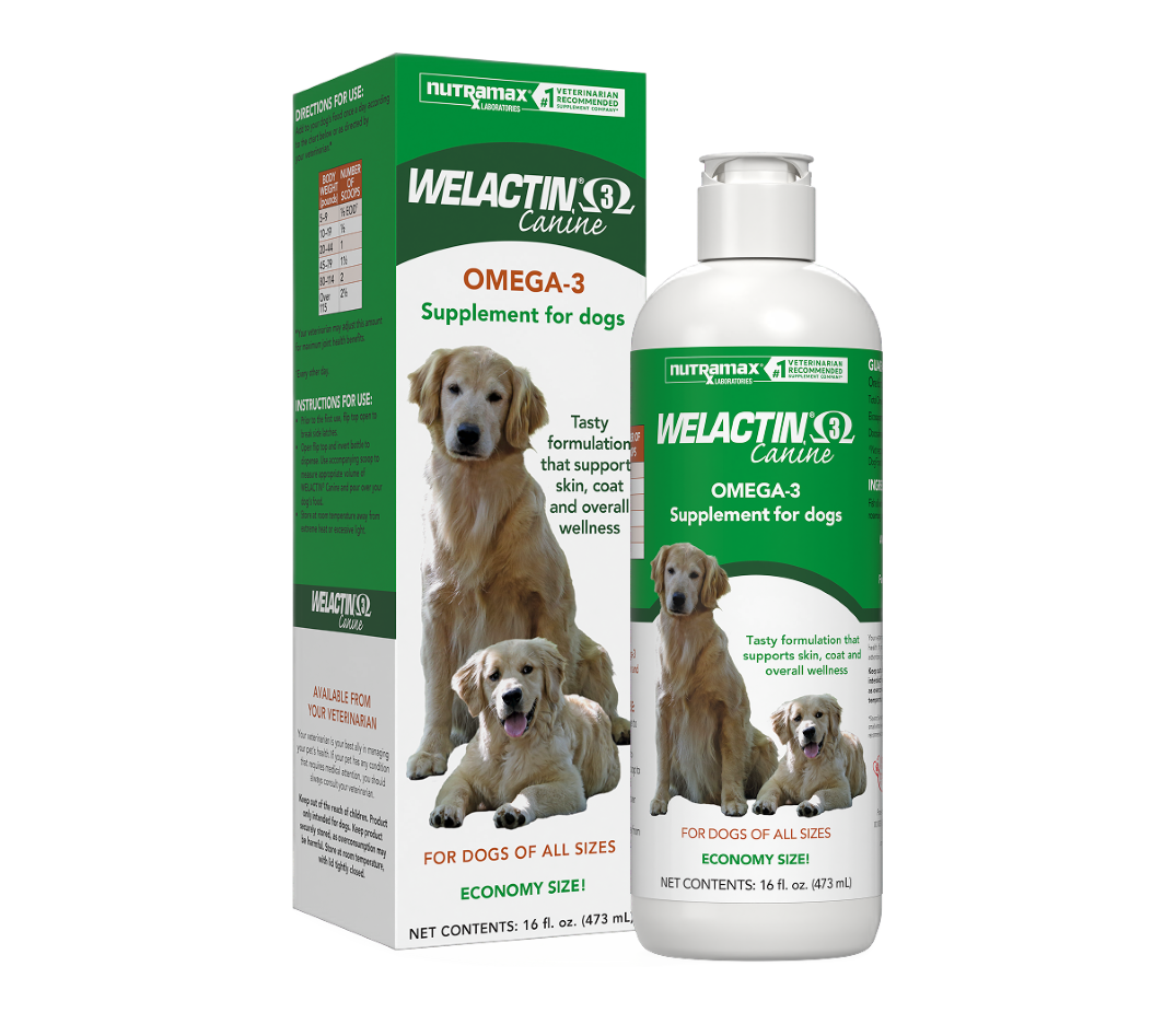 Solliquin Behavioral Health Supplement for Dogs