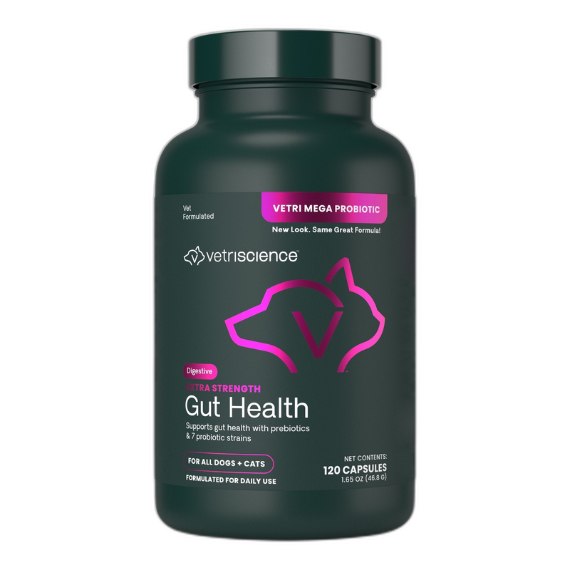 Under the Weather Ready Balance Probiotic for Dogs