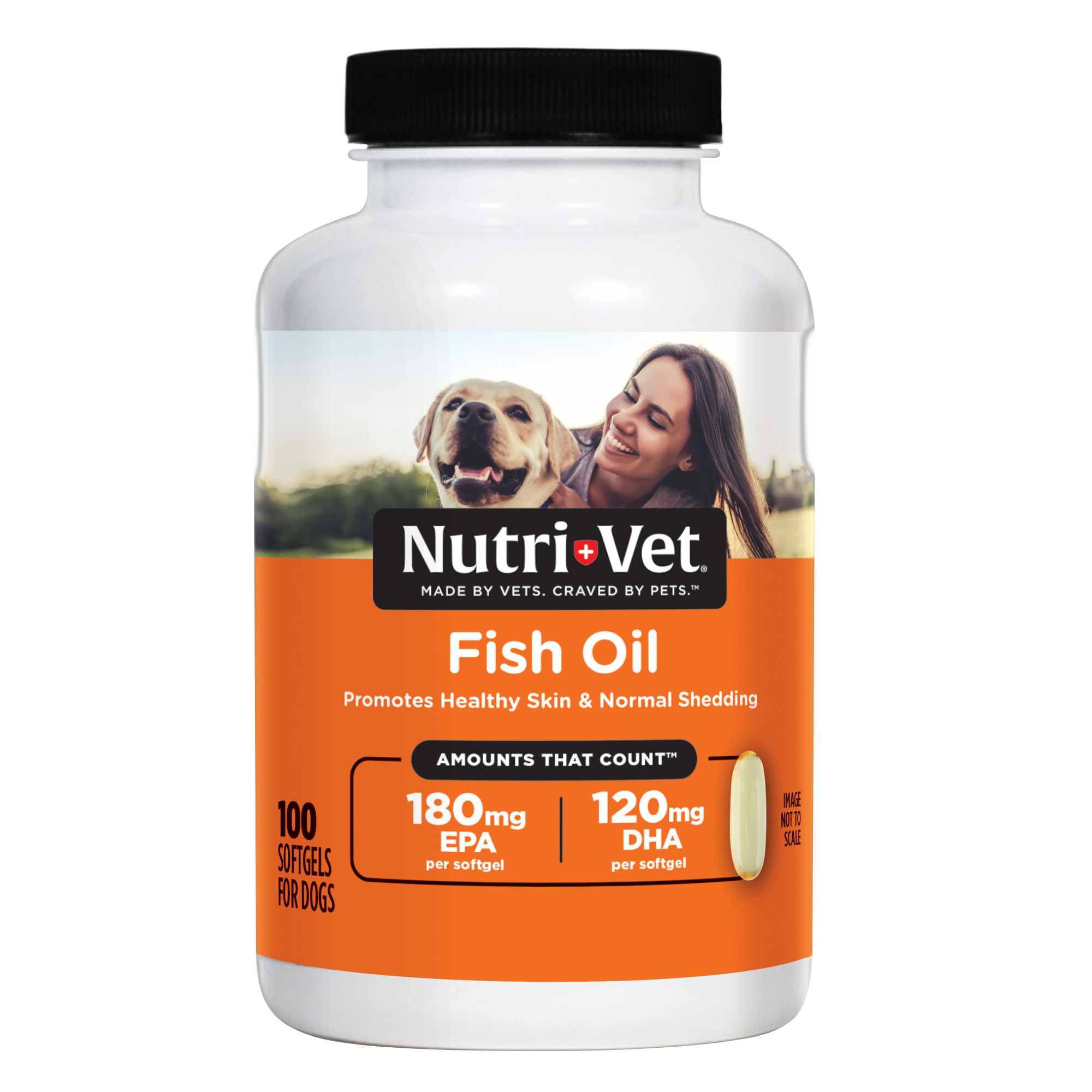 Under the Weather Rice & Pumpkin Freeze-Dried Bland Diet for Dogs