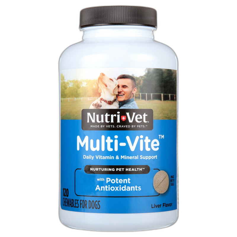 VetriScience Vetri Probiotic BD for Dogs pet supplement