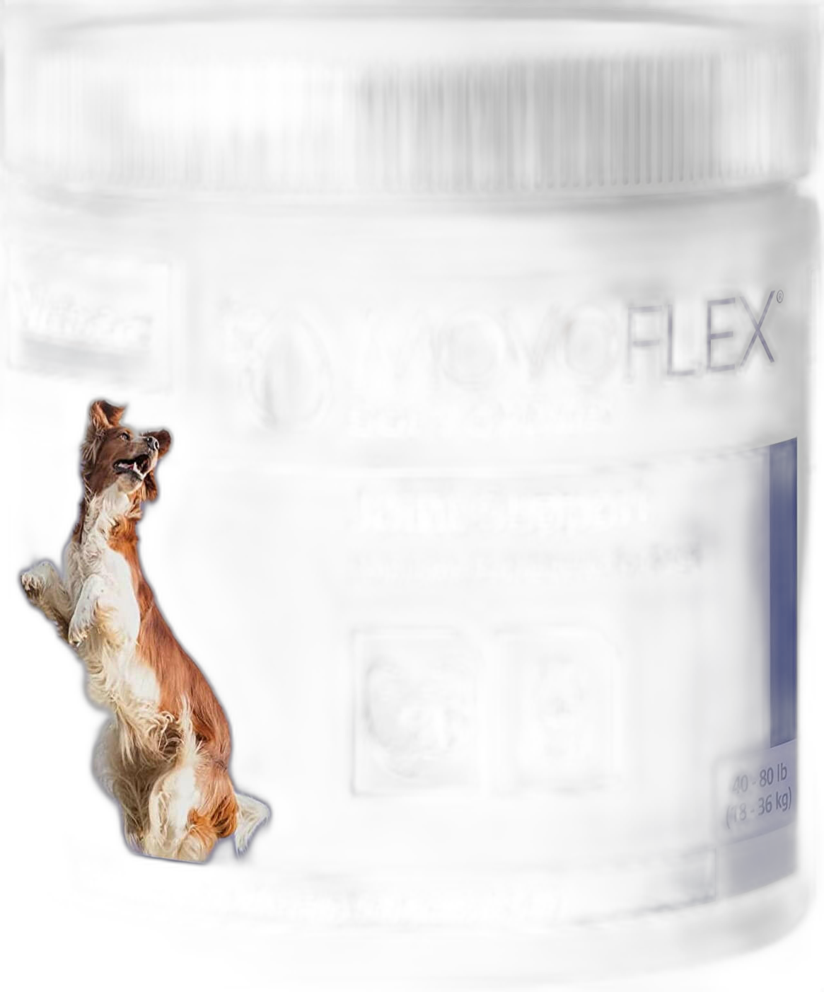 Zesty Paws Aller-Immune Bites for Dogs with Lamb Flavor
