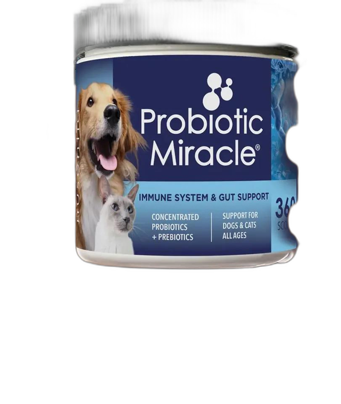 Zesty Paws Gut Health Bites for Dogs digestive health supplement